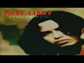 Download Lagu Andy Liany - Ingin Rasanya