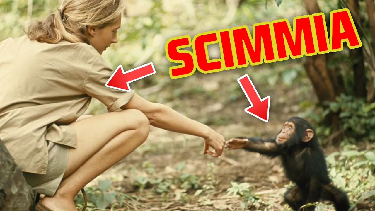 JANE GOODALL: la donna delle scimmie che ha cambiato il mondo