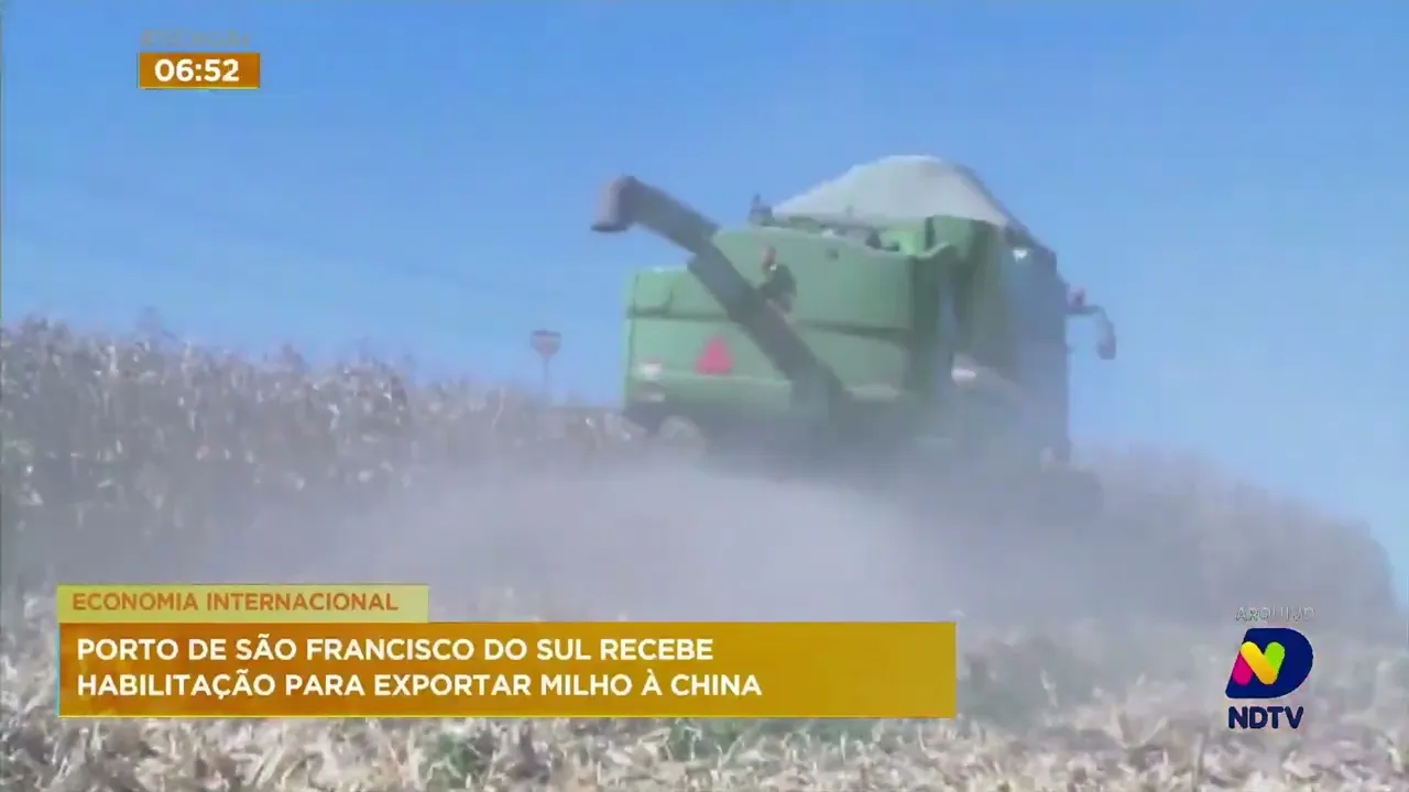 Porto de São Francisco do Sul recebe certificação para exportar milho à China