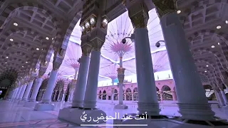 كلمات أغنية يا نبي سلام عليك للمنشد ماهر زين 