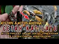 Download Lagu 🔴GETAH KATILAYU..!!!