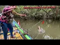 Download Lagu Ikan kerapu besar saat siang hari  tak luput dari joran andalan. #fishing 