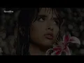 Lucianeka - Tanto Amor (Letra)