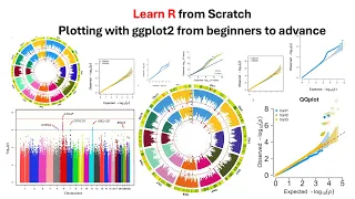Mastering Data Visualization with ggplot2 A Step-by-Step Guide in R