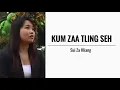 Download Lagu Kum Zaa Tling Seh || Sui Za Hliang || KARAOKE