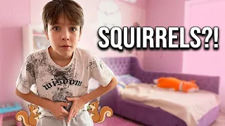 funny moments