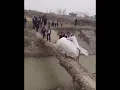 Kelin va Kuyov Baxtli boʻlisin Uzbek toʻylari daxshat Obuna boʻling 👇