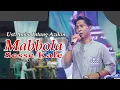 Download Lagu Ust.Ambo Intang Azikin - MABBOLA SESSE KALE cipta: Ansar S - Lagu Bugis Abadi
