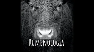 Transmissão ao vivo de Rumenologia - Danilo Millen