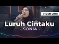 Lagu SONIA - Luruh Cintaku | Cover By YK Musik