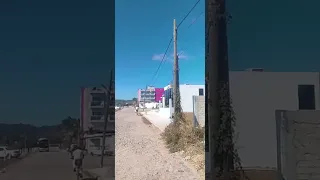                     دندنها