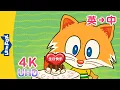 Download Lagu [4K] 祝你生日快乐！(Happy Birthday!) | Sing-Alongs | English to Chinese Songs | Songs for Kids | Little Fox