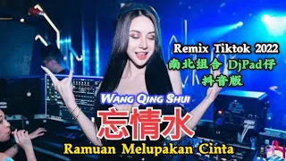Download 南北组合 - 忘情水 Wang Qing Shui【Ramuan Melupakan Cinta】DjPad仔 抖音版 Remix Tiktok 2022 - Translated Indonesia MP3