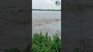 यमुना किनारे गाँव वालों ने ख़तरे का निशान लाल झंडे लगाए..