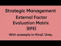 External Factor Evaluation EFE Matrix in Hindi with example