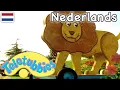 Lagu Teletubbies Nederlands afleveringen! 1 uur | kinder programmas | tekenfilms | animatie