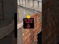 Download Lagu Chhat level construction work #chhat #linter #construction #level #parapetwall #frantelivetion