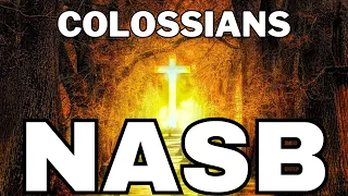 Colossians NASB 1995 Bible Holy Word of God New Testament Scripture Reading Gospel of Jesus