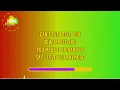 The Green - Foolish Love (Karaoke Version) - Hawaiian Karaoke