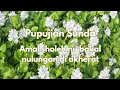 Download Lagu Pupujian Sunda \