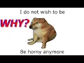 I do not wish to be horny anymore Meme Analysis