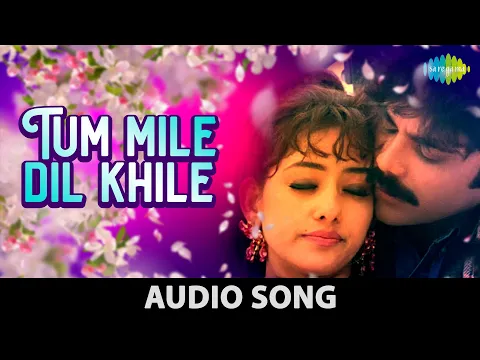 Download MP3 Tu Mile Dil Khile | Kumar Sanu | Alka Yagnik | Criminal | Nagarjuna | Manisha Koirala | Audio Song