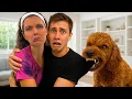 MY DOG HATES my CRUSH