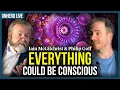 Iain McGilchrist \u0026 Philip Goff: Is the universe conscious?