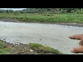 Lagu Sungai pada longsor dan ini yg ada... 