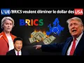Lagu Le dollar est visé par les BRICS et l’UE (l’ordre financier vacille)