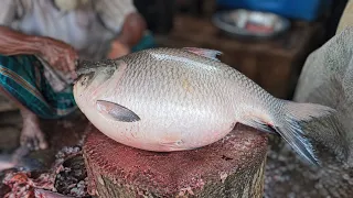 Amazing Giant Catla Carp Fish Cutting Skills Live In BD Fish Market