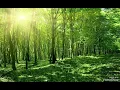 Download Lagu hẹn em vào ngày mưa cuối remix haozi