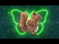 Dancing squirrel meme