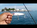 Download Lagu SPOT TERBAIK DAN SUPER GACOR GAK ADA ISTILAH GAK BAWA PULANG IKAN.