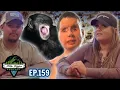Travis The Chimp When Having Wild Animals As Pets Goes Wrong - Podcast
