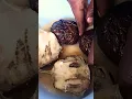 Download Lagu How I Tawa-Fry Eggplant Towers into Sacred Buns | Village Cooking | Bird Sounds #viral #shorts