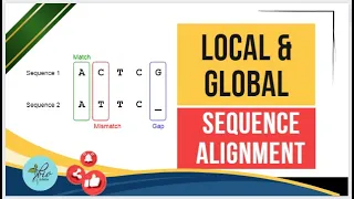 Global Vs Local Alignment Pair wise sequence alignment Bioibformatics