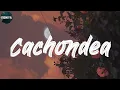 Fruko Y Sus Tesos - Lyrics/Letra Cachondea