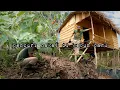 Download Lagu Pencuri masuk ke kebun merusak tanaman terong dan tomat warta petani muda hidup di hutan