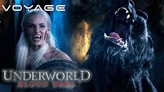 underworld blood wars fighting with the nordic vampires voyage