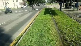                     دندنها