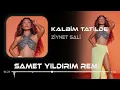 Ziynet Sali - Kalbim Tatilde ( Samet Yıldırım Remix )