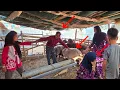 Download Lagu Zahra's opposition to the sale of sheep by Sakineh
