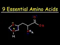 Essential Amino Acids