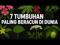 Download Lagu 7 Tanaman paling beracun di dunia, hati-hati dengan tumbuhan ini