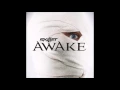 Download Lagu Skillet - Forgiven