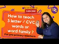 How to teach 3 letter words cvc words or word family