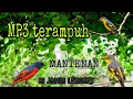 Download Lagu Mantenan Gunung Sudah Kebal mp3 Pakek Suara Ini (Paling Jitu Menarik Perhatian Burung Liar)
