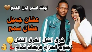 جديد مروة الدولية باسل هولندي انت تأمر ونقول سمح عشان جميل عشان سمح اغاني سودانيه 2024 