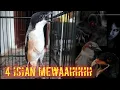 Lagu CENDET FULL NEMBAK TENGKEK BUTO ARMAGEDON KUNTILANAK GREJA TARUNG KERASSS !!